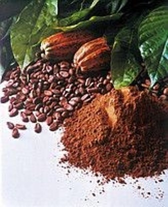 Какао-порошок 10-12% натуральный 1 кг УКРАСА